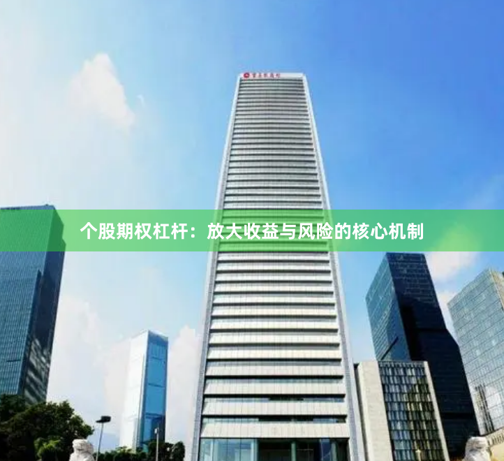 个股期权杠杆：放大收益与风险的核心机制