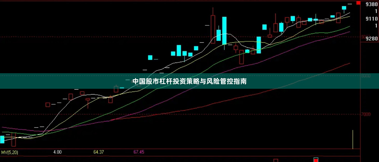 中国股市杠杆投资策略与风险管控指南